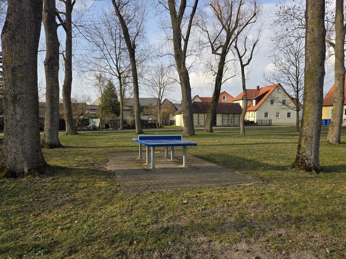 Tischtennisplatte im Dorfpark von Kaubenheim mit Blick auf die umliegenden Häuser